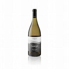 CHARDONNAY 2022 CANUS